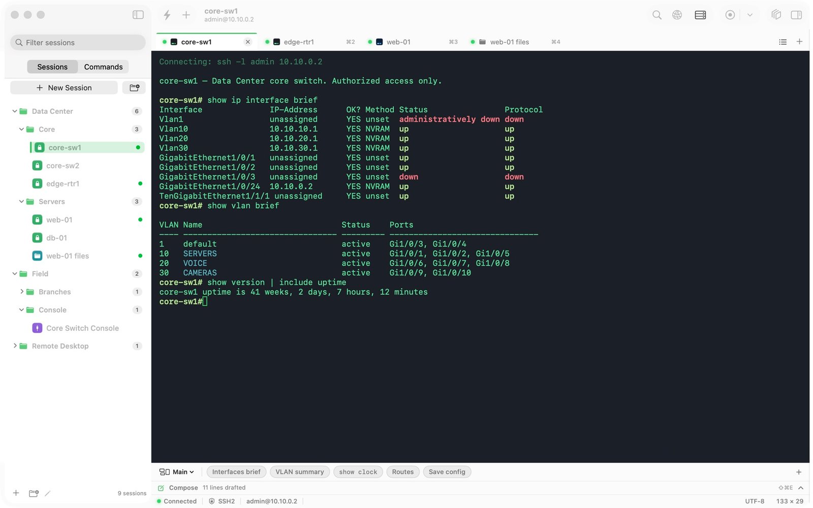 TaniTerm in the TaniTerm Light theme with Sessions and Commands on the left